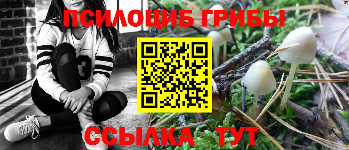 Галлюциногенные грибы Psilocybe Чусовой