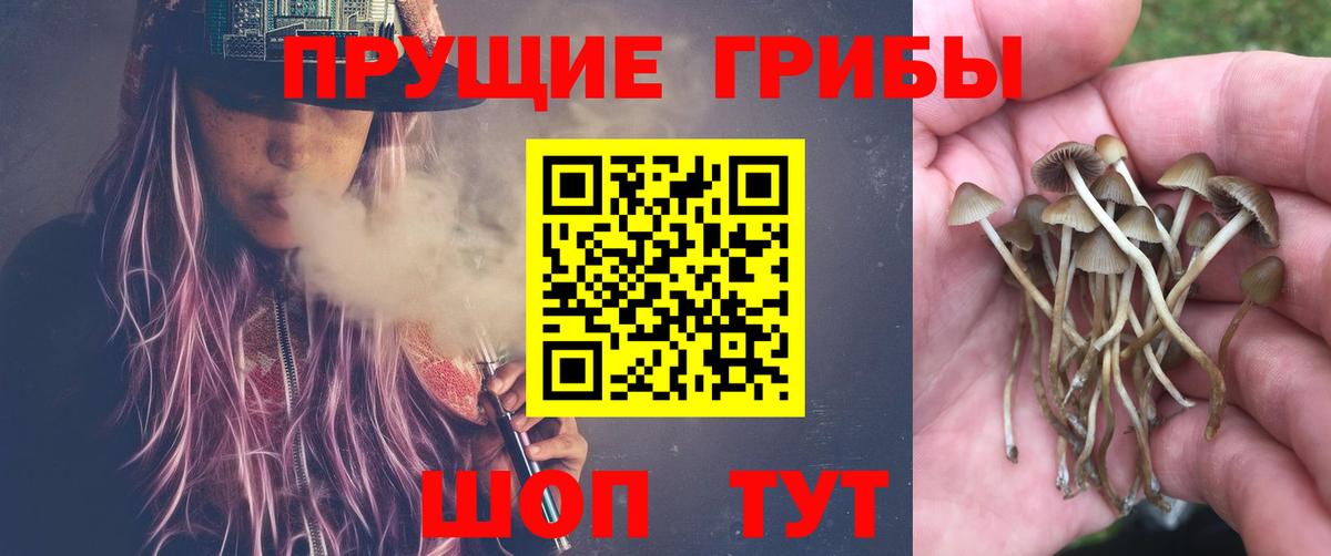 Чусовой  Галлюциногенные грибы мицелий  Вход с VPN  Галлюциногенные грибы MAGIC MUSHROOMS 
